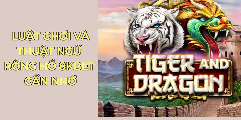 Luật chơi và thuật ngữ Rồng Hổ 8Kbet cần nhớ