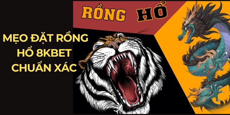 Mẹo đặt Rồng Hổ 8Kbet chuẩn xác